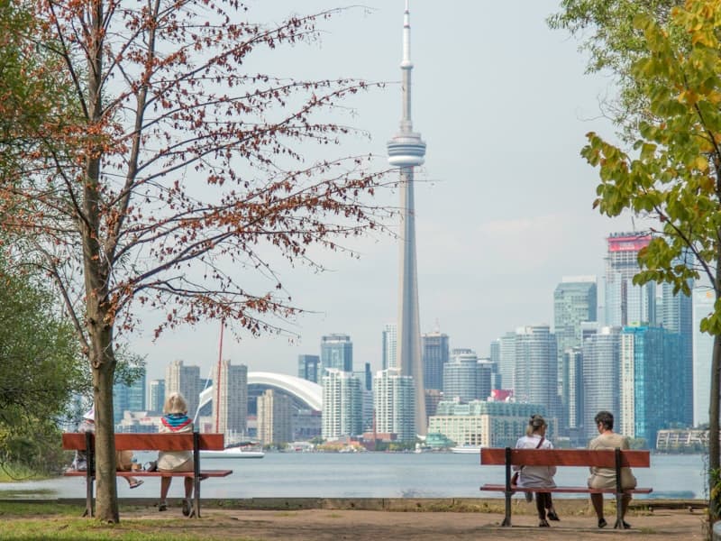 Residential street in Toronto (stock placeholder until client photo supplied)